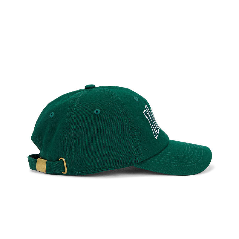 University Dad Hat Pine